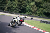 Lower Group Yellow Bikes